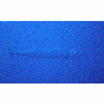 Acanthocybium solandri (Cuvier, 1832)