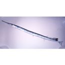 Strongylura anastomella (Valenciennes, 1846)