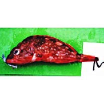 Sebastiscus tertius (Barsukov et Chen, 1978)