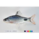 Puntius filamentosus (Valenciennes, 1844)