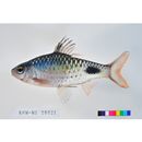 Puntius filamentosus (Valenciennes, 1844)