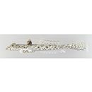 Repomucenus ornatipinnis (Regan, 1905)