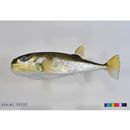 Lagocephalus spadiceus (Richardson, 1845)