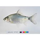 Puntius sarana (Hamilton, 1822)