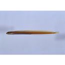 Gunnellichthys viridescens Dawson, 1968