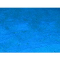 Gunnellichthys viridescens Dawson, 1968