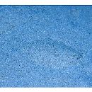 Asterorhombus filifer Hensley et Randall, 2003