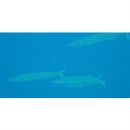 Sphyraena forsteri Cuvier, 1829