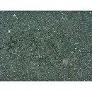 Bothus pantherinus (Ruppell, 1830)