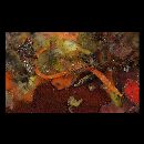 Festucalex erythraeus (Gilbert, 1905)