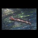 Tylosurus acus melanotus (Bleeker, 1850)