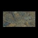 Oligolepis acutipennis (Valenciennes, 1837)