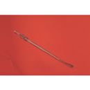 Tylosurus acus melanotus (Bleeker, 1850)