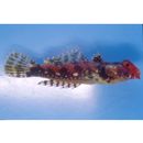 Neosynchiropus morrisoni (Schultz, 1960)