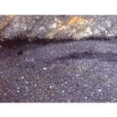 Platycephalidae, indet. gen. & sp