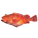 Sebastiscus tertius (Barsukov et Chen, 1978)