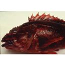 Sebastiscus tertius (Barsukov et Chen, 1978)