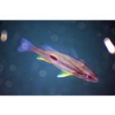 Lutjanus russellii (Bleeker, 1849)