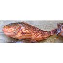 Sebastiscus tertius (Barsukov et Chen, 1978)