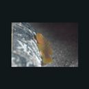 Priolepis profunda (Weber, 1909)