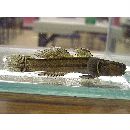 Tridentiger trigonocephalus (Gill, 1859)