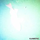 Sebastes iracundus (Jordan et Starks, 1904)