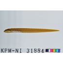 Zoarchias major Tomiyama, 1972