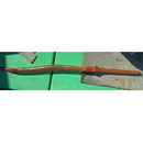 Fistularia petimba Lacepede, 1803