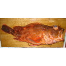 Sebastiscus tertius (Barsukov et Chen, 1978)