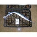 Strongylura incisa (Valenciennes, 1846)